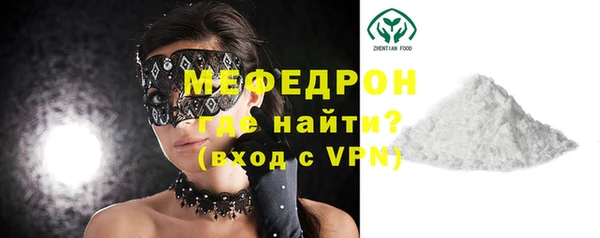 индика Тавда