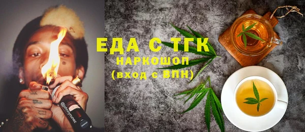 индика Тавда
