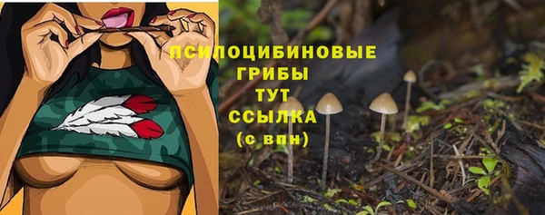 стафф Липки