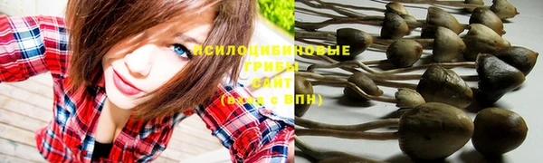 стафф Липки