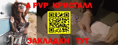 дурь Кингисепп