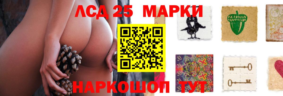 omg ссылка  Лсд 25 экстази ecstasy  Вход с VPN  Сокол 