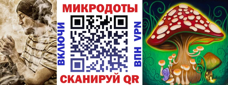 блэк спрут онион  Сокол  Псилоцибиновые грибы Cubensis 